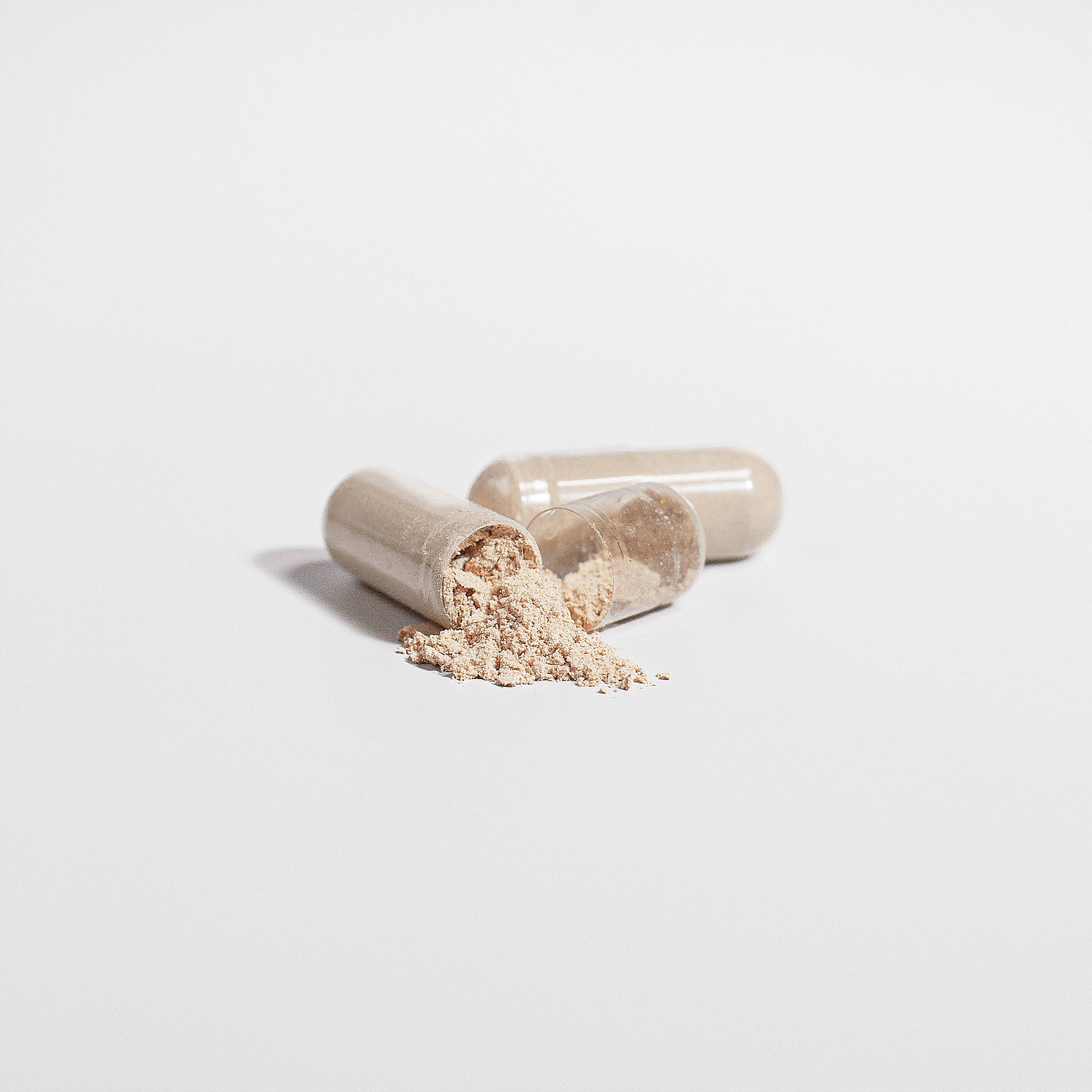 Pure Lion's Mane Mushroom - US Grown - 60 Capsules